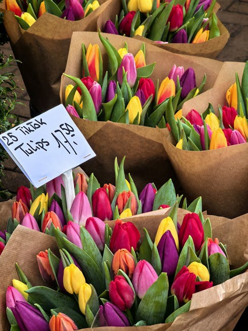 Several bouquets of fresh tulips in vibrant shades of pink, purple, yellow, orange, and red are arranged in brown paper wrapping. The flowers have healthy, firm petals and green stems, indicating fres