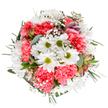 This bouquet is a tribute to the gentle spirit of spring in Marks Gate, thoughtfully arranged by local florists to capture a sense of joyful renewal. In its center, pure white daisies with sunny green centers bloom among abundant, ruffled coral-pink carnations-each petal adding volume and a soft, inviting texture reminiscent of nearby green spaces. Wisps of baby's breath, almost cloudlike, drift through the arrangement, giving it a dreamy lift that echoes the clear skies over Rose Lane. Blush-hued alstroemeria buds edged with hints of purple are tucked among elegant eucalyptus and lush green leaves, creating soft fragrance and subtle depth. This round bouquet feels both tranquil and exuberant, its fresh palette and careful structure ideal for celebrating milestones, offering congratulations, or brightening any Marks Gate home. The arrangement brings with it an emotional note of optimism, gratitude, and floral artistry-inviting the beauty of the local RM6 community into everyday life.